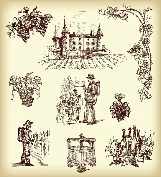 grape wine production elements retro handdrawn symbols