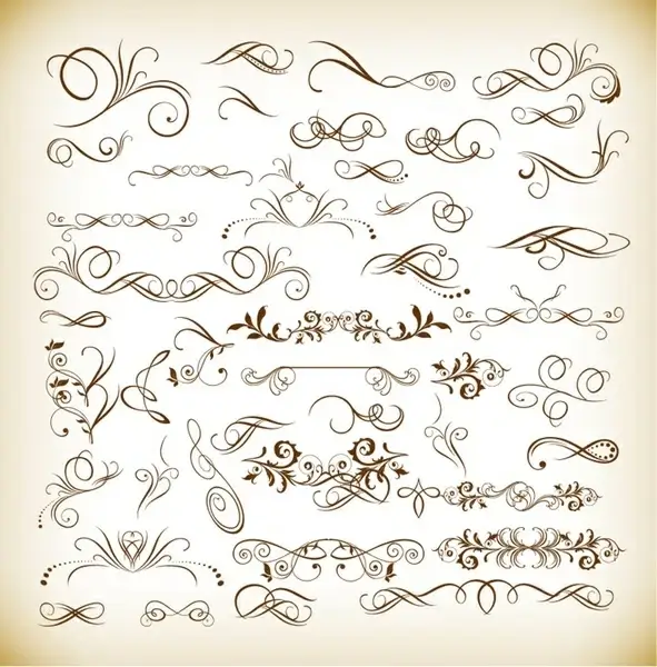 vector illustration of floral design elements