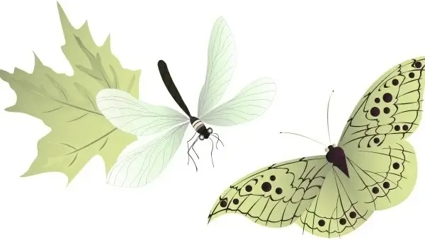 Vector Insects 