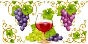 vector juicy grapes design graphic set