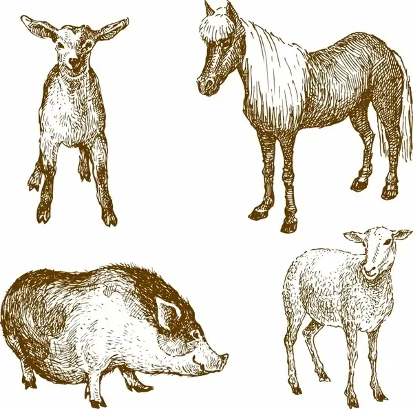vector line art animal lamb horse
