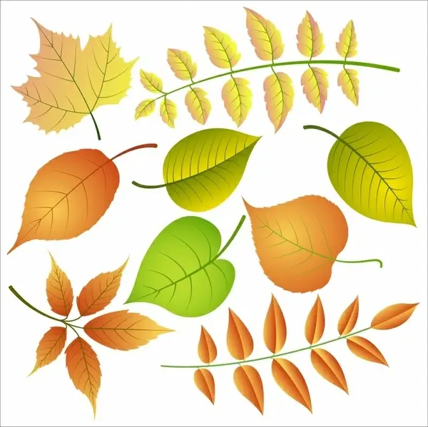natural leaf icons bright colored modern sketch
