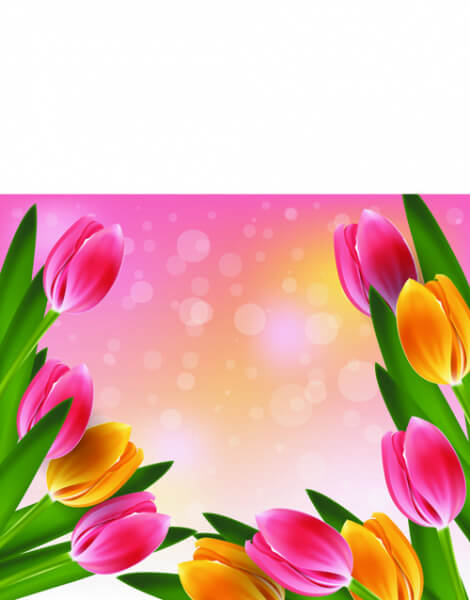 vector set of spring flowers design graphics