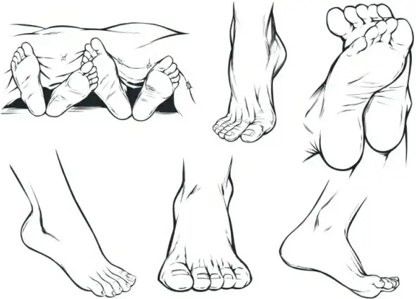vector sketch foot