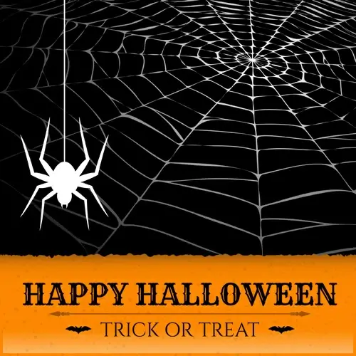 vector spider web design background graphics