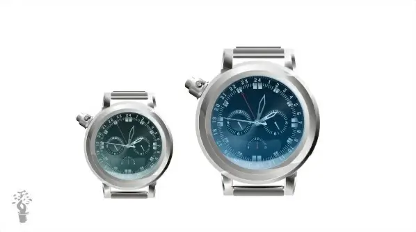 vector watch