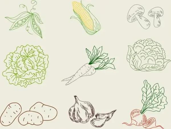 vegetable icons collection 3d handdrawn outline