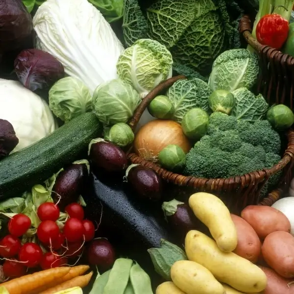 vegetable still life 04 hd pictures