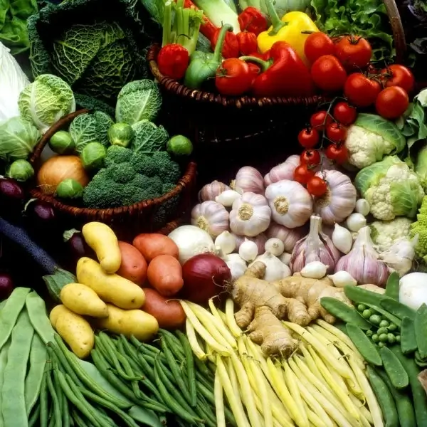 vegetable still life 05 hd picture