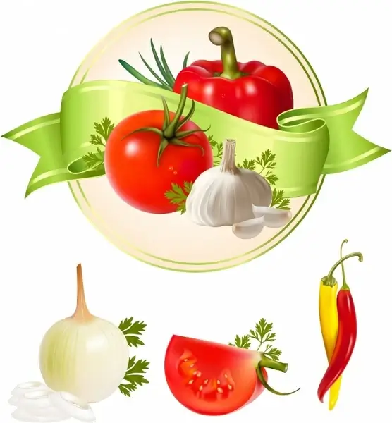 vegetable ingredients design elements colorful shiny modern sketch