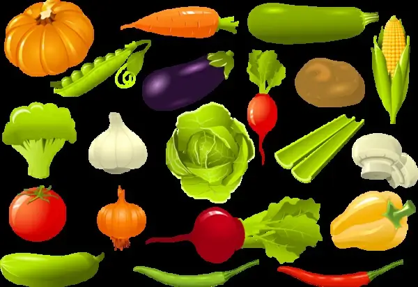 vegetable vector collection