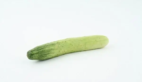 vegetables cucumber green
