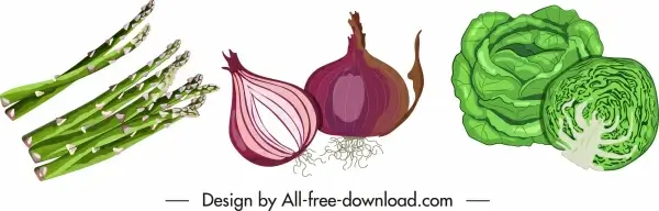 vegetables icons onion cabbage asparagus sketch classic design
