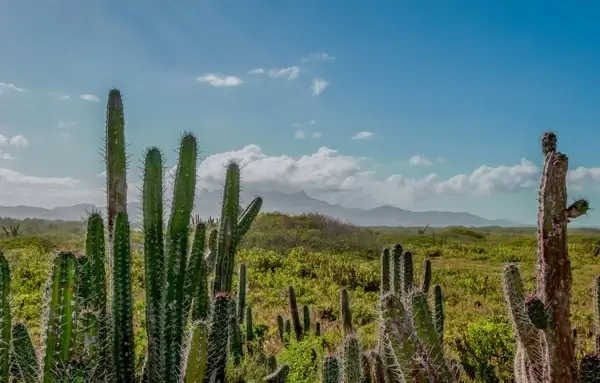 venezuela mountains sky