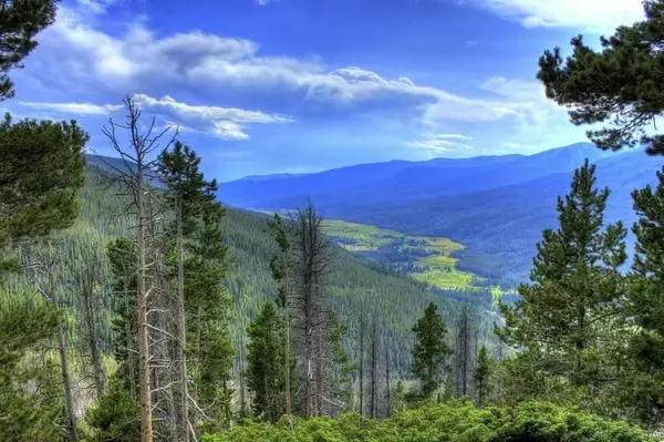 view of the valley at rocky mountains national park colorado