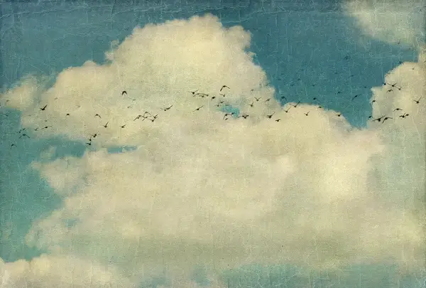vintage clouds explored