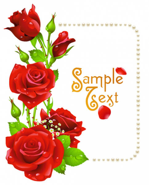 vintage rose with pearl frame vector card