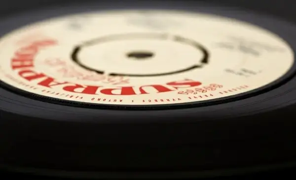 vinyl record