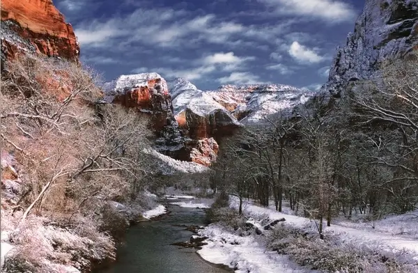 virgin river zion national park rock