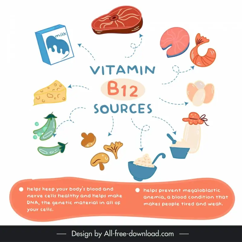 vitamin b12 sources infographic template classical foods layout