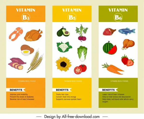 vitamin b infographic templates colorful handdrawn food sketch