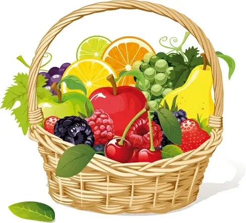 vivid fresh vegetables and fruits vector