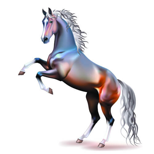 vivid horses design vector