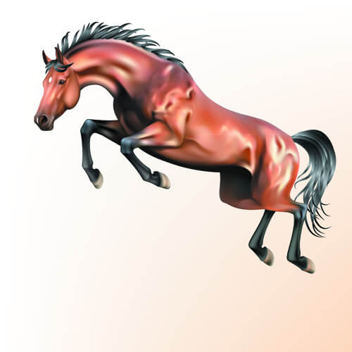vivid horses design vector