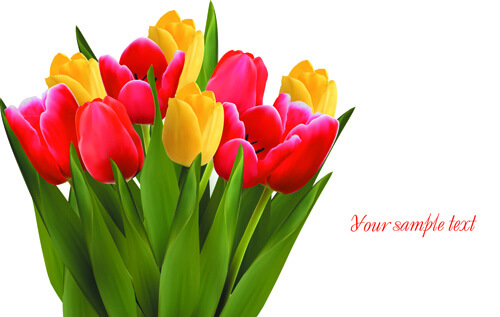 vivid tulips backgrounds vector