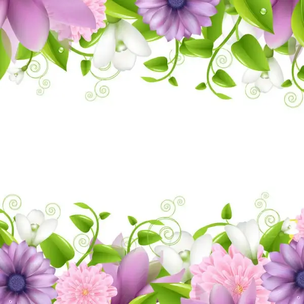vivid with flowers borders vector