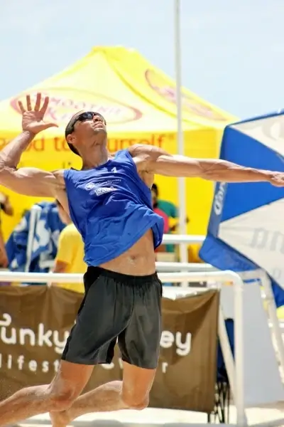 volleyball ball volleyball fun