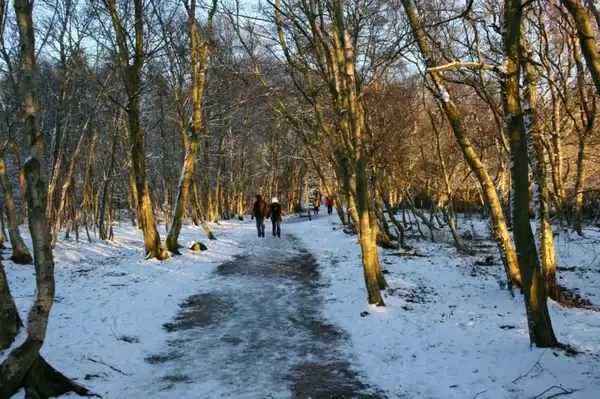 walking in the snow 