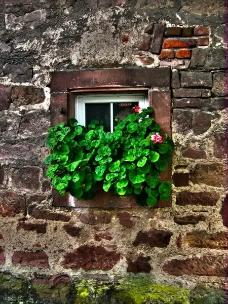 wall stone window