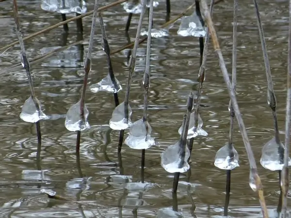 water ice frozen