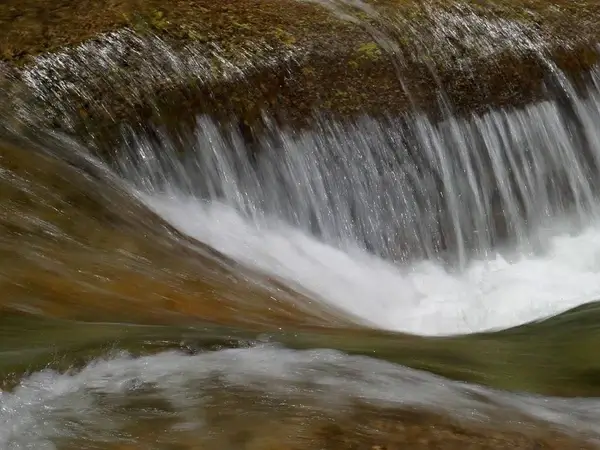 water movement flow