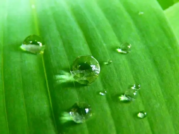 waterdrop drip close