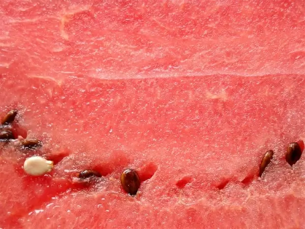 watermelon pulp melon