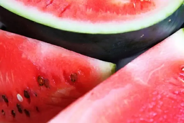 watermelon slices