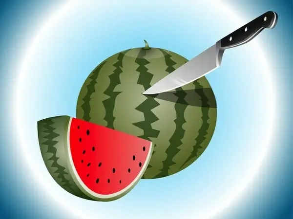 watermelon slices food vector art