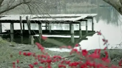 Waterscape