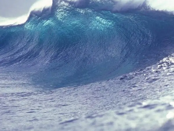 wave water sea