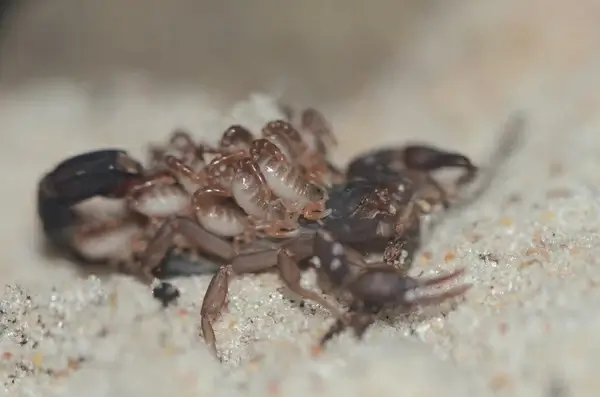 we had babies
