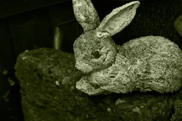 weathered bunny