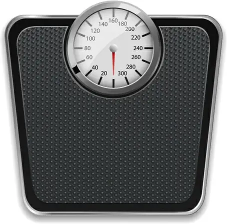 weight scales vector
