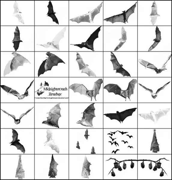well, halloween is just around the corner so bats! 40 ps 7 brush