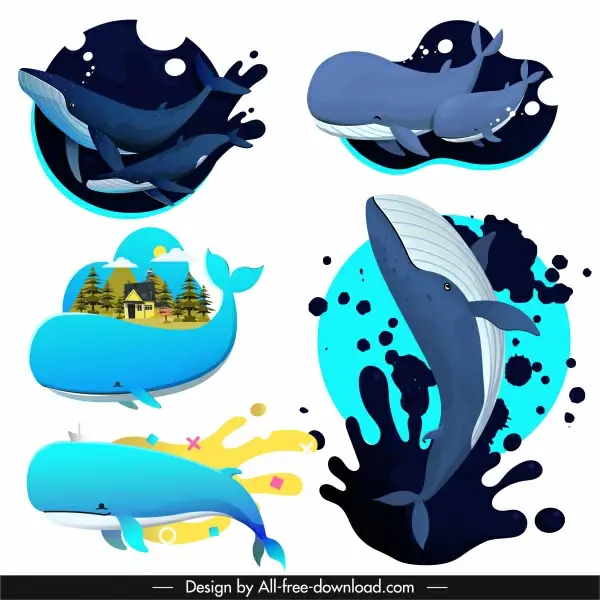 whales icons motion sketch colored design