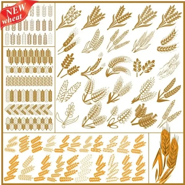 wheat pattern 04 vector
