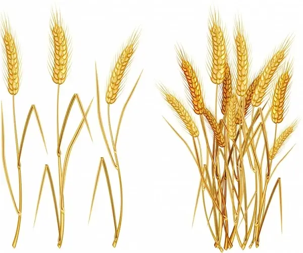 wheat icon classical golden handdrawn design