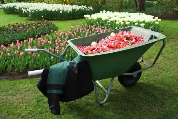 wheelbarrow