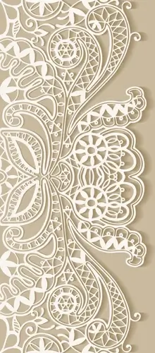 white lace with colored background vector set
